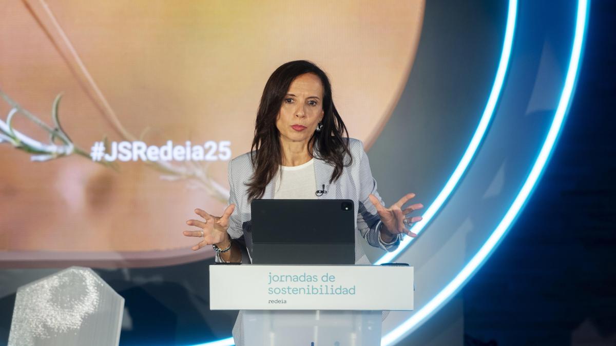 Bénéfice de Redeia en baisse de 4,4 % à 412 millions