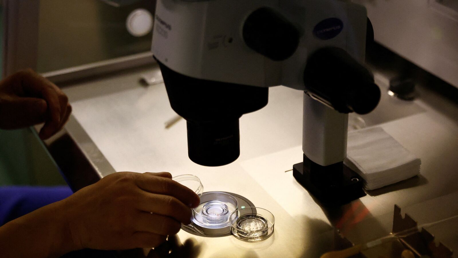Bessemer soutient des médecins pour lancer une nouvelle plateforme de FIV