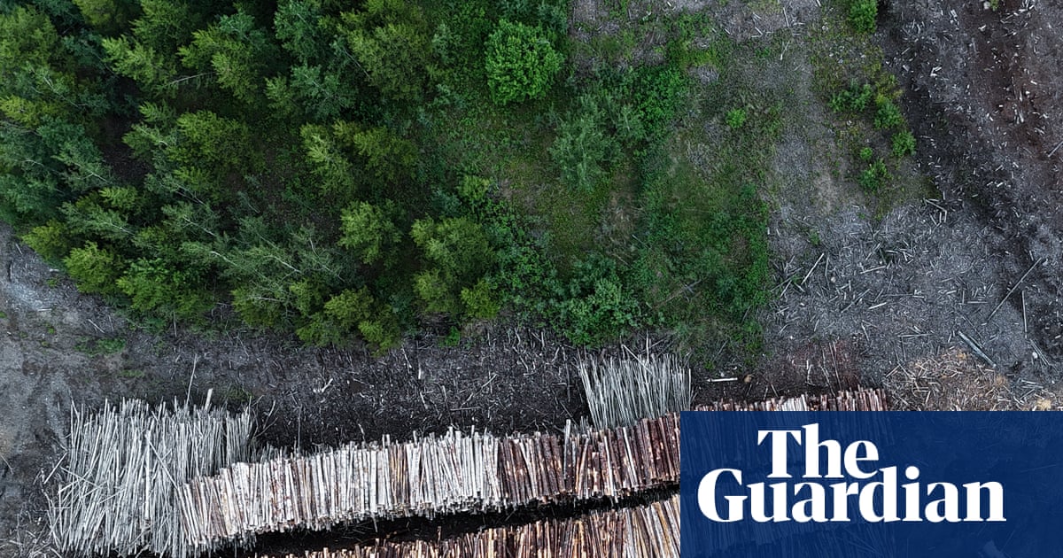 Drax continue de brûler des arbres vieux de 250 ans provenant des forêts canadiennes, selon les experts !