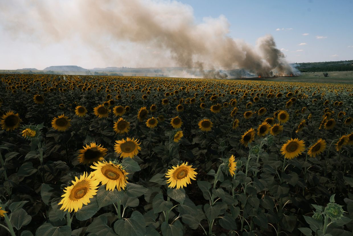 Champ en feu après des bombardements près du village de Nova Poltavka, dans l'oblast de Donetsk, Ukraine.