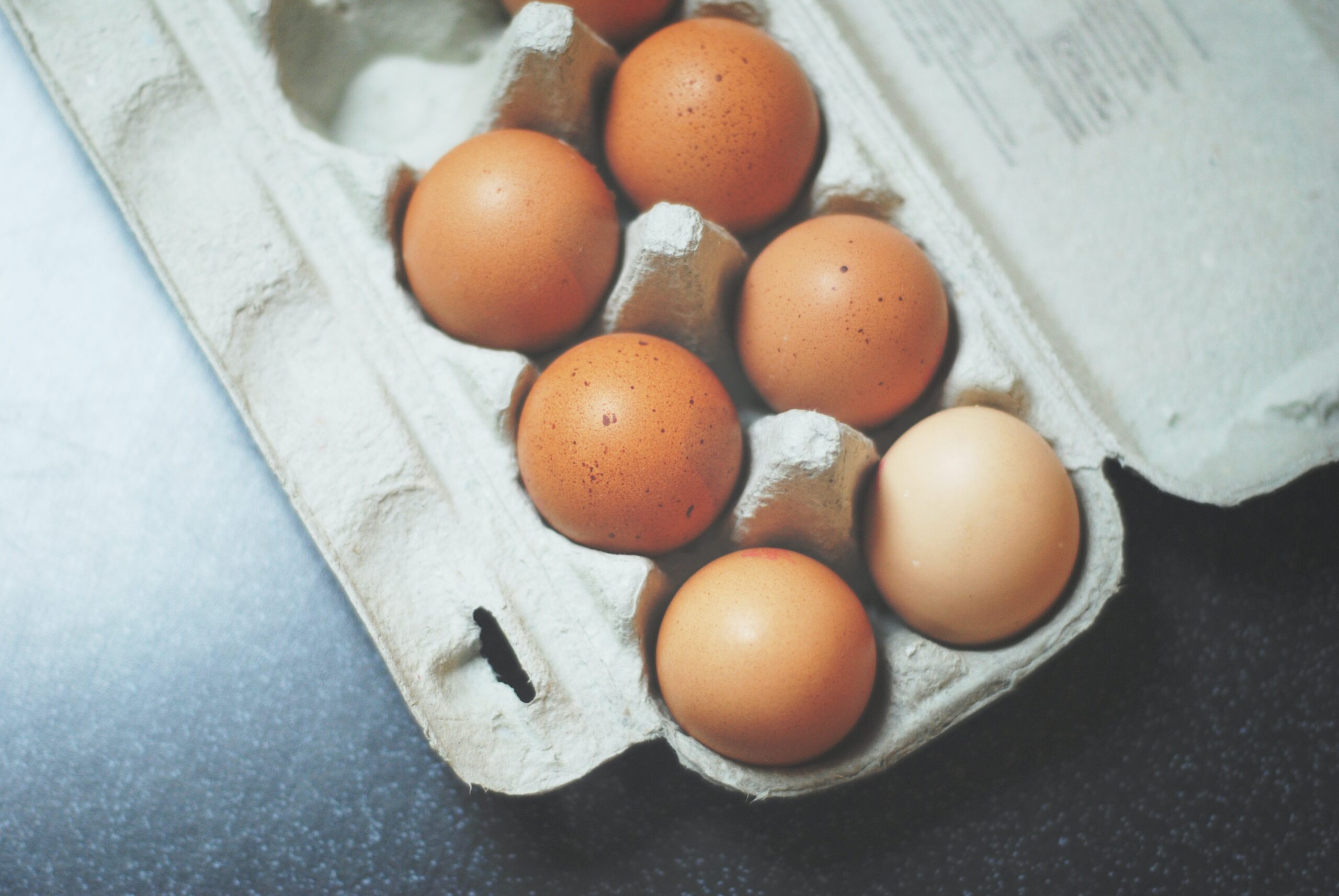œufs, poules