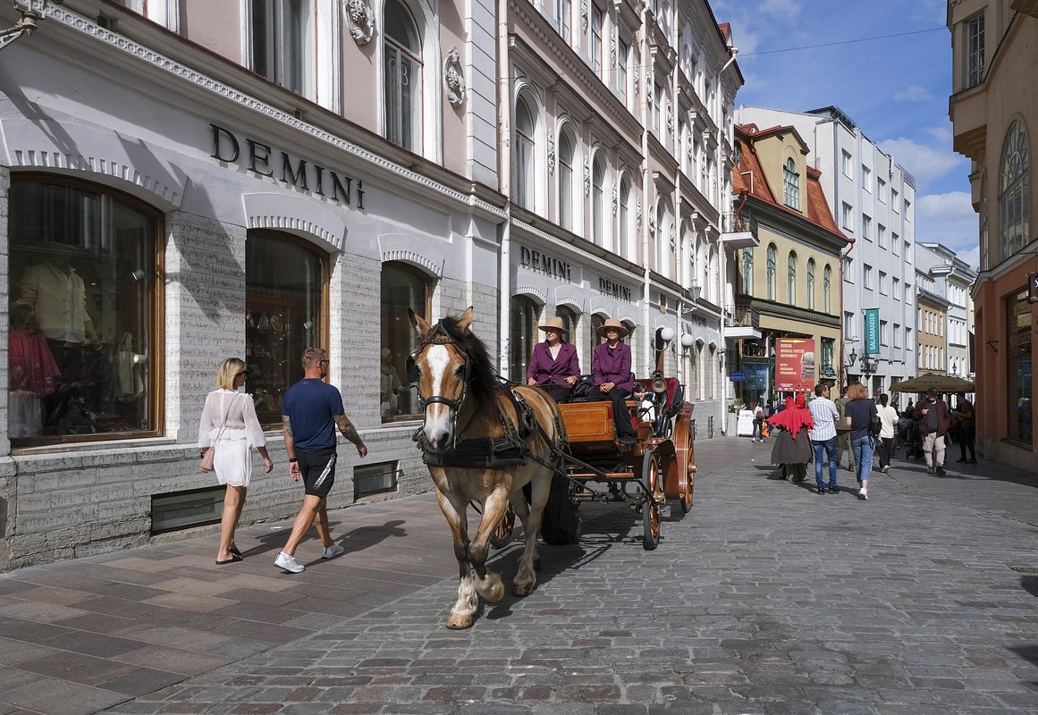 Promenade équestre dans la vieille ville de Tallinn.