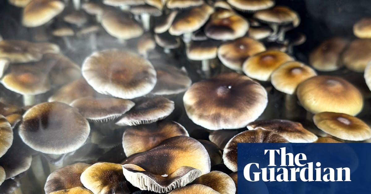 Conservateurs et Chrétiens : Les champions des drogues psychédéliques aux États-Unis !