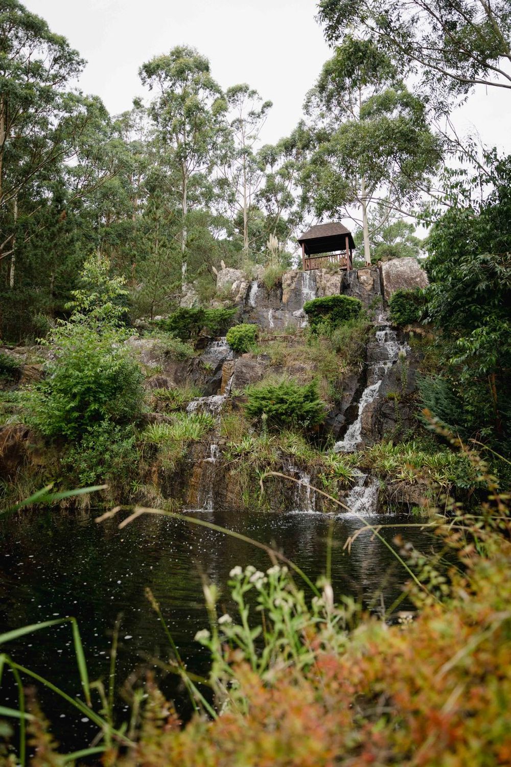 Image d'un jardin