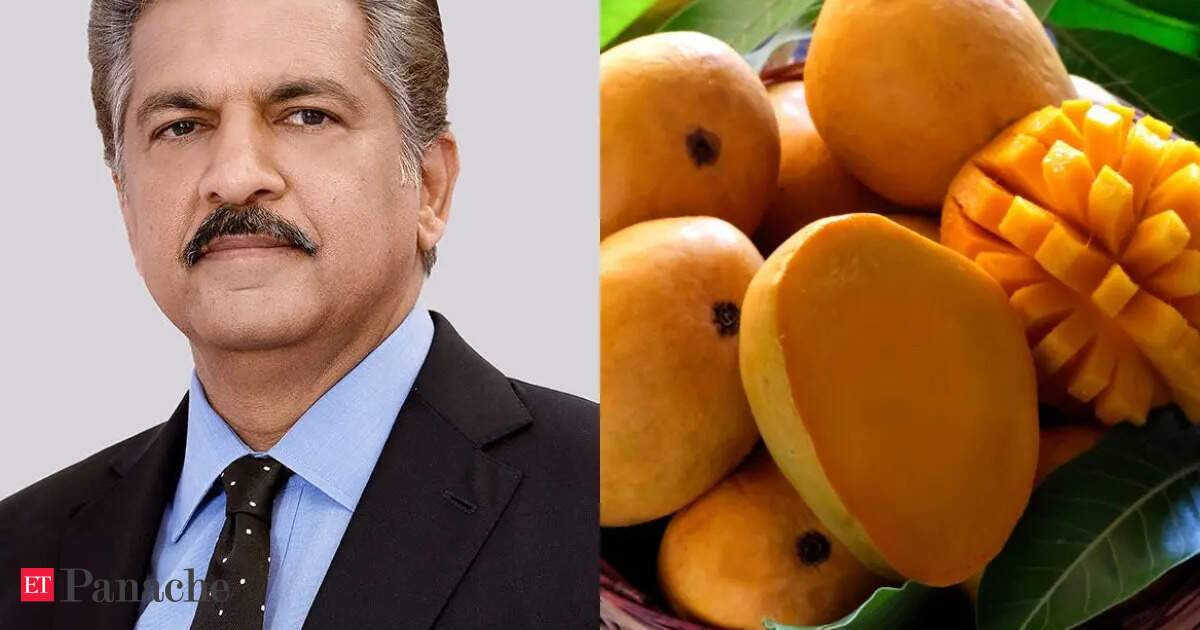 Et si la saison des mangues ne se terminait jamais ? Anand Mahindra soutient l'expérience fruitière d'un agriculteur de Kota : un véritable exemple d'entrepreneuriat !