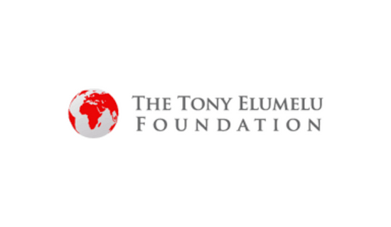 La Fondation Elumelu Investit 100 Millions de Dollars pour Booster les Entrepreneurs Africains !