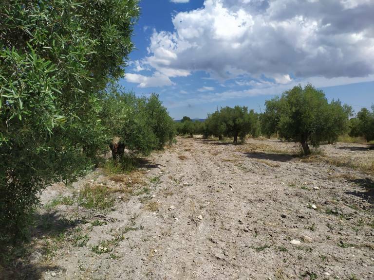 Lancer son entreprise au cœur de la ruralité espagnole !