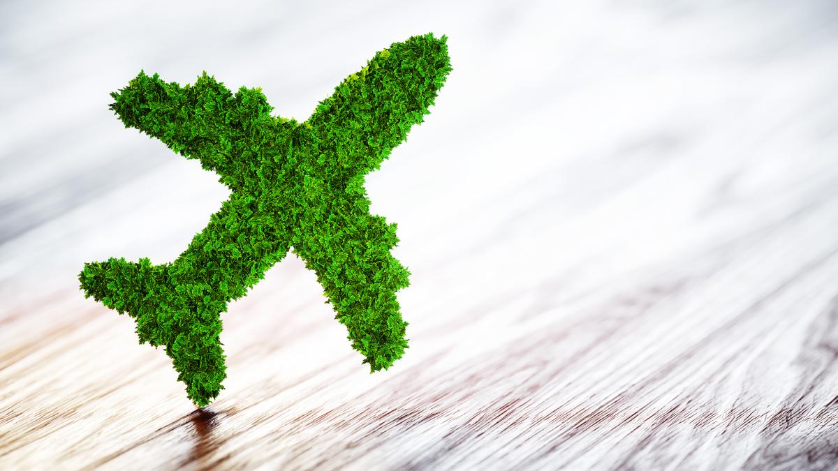 L’entrepreneuriat vert : la clé des futurs emplois en Inde !