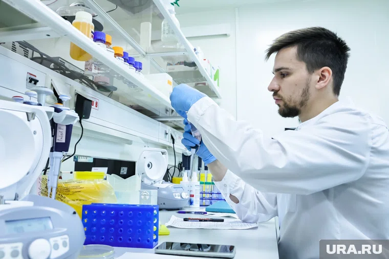 Croissance notable des recherches scientifiques