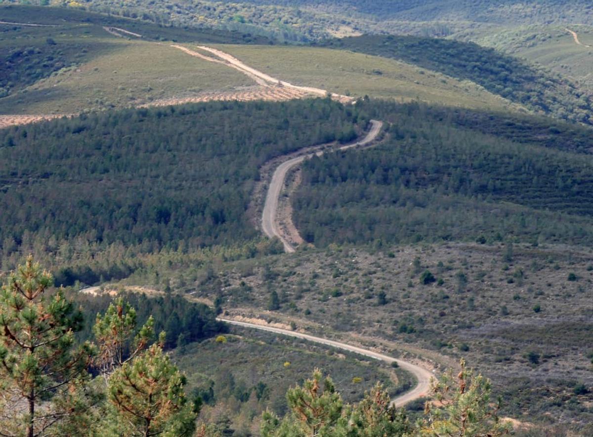 Tramo del Camino del Lobo