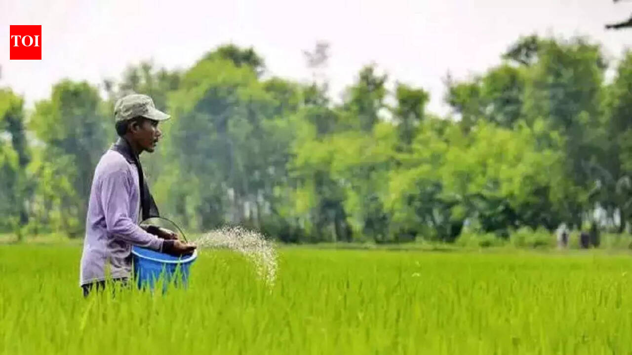 L'Inde met le cap sur 2,5 millions de tonnes d'urée face aux perturbations des approvisionnements en provenance du Moyen-Orient !
