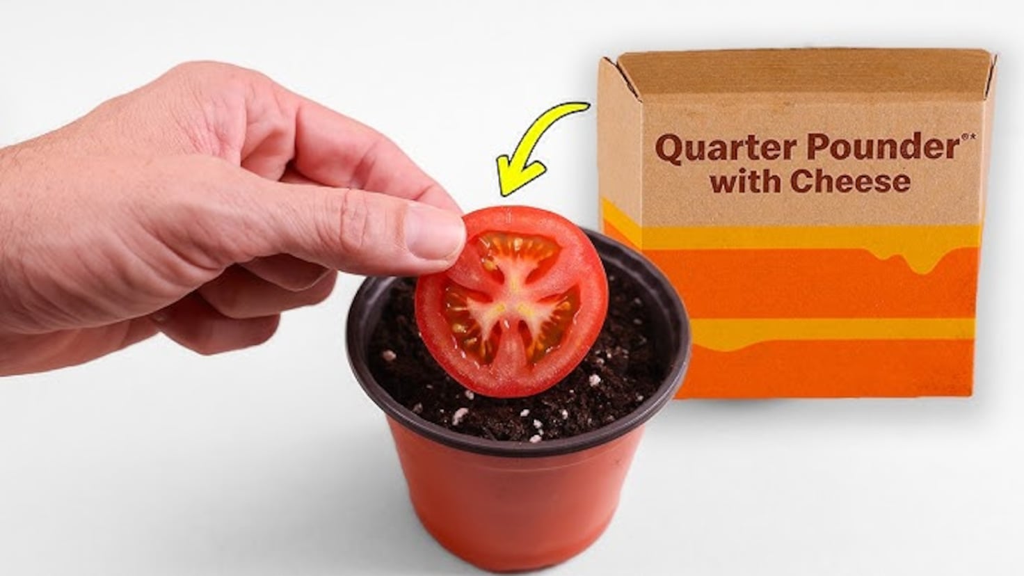 Sème les graines d'une tomate de McDonald's et découvre le résultat surprenant !