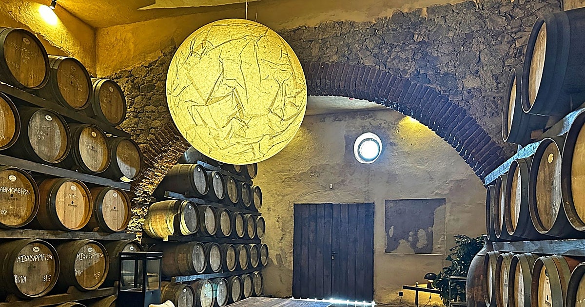 La crise du vin met les vignobles espagnols à l'épreuve